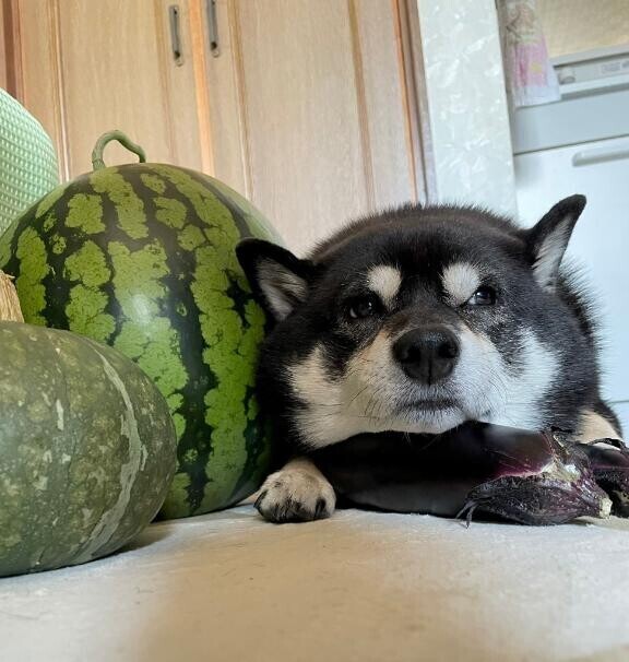 暑いっ