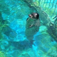 申し訳ありません