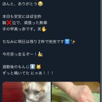 圧倒的お部屋勝ち??