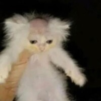 ゆう