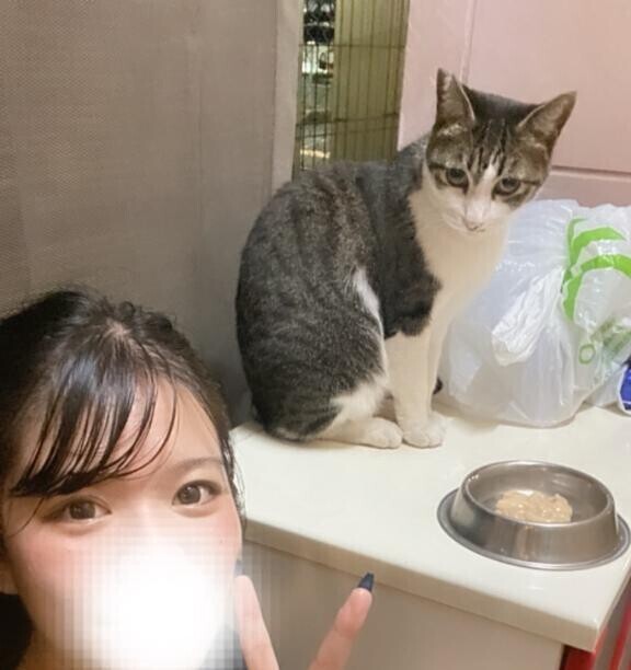 寝れない夜は…