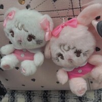 ひよりの休日???