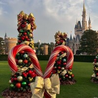 12月 出勤予定日 ???