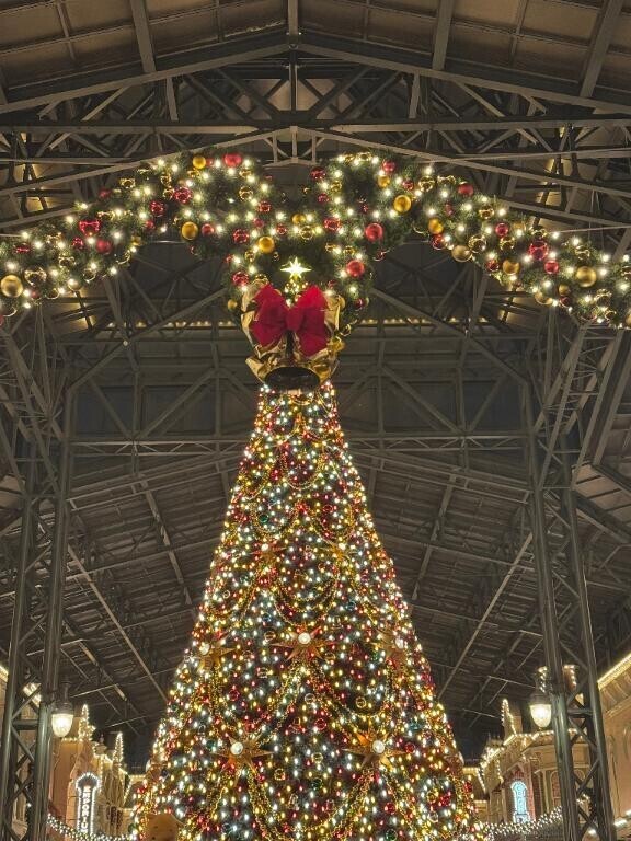 12/9(火) 22:00まで姫予約可