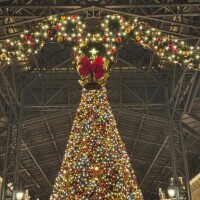 12/9(火) 22:00まで姫予約可