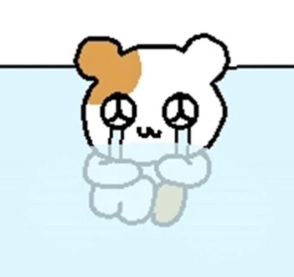 ごめんなさい???