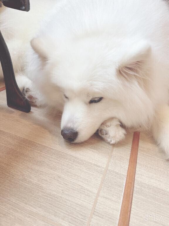 ?今日ごめんなさい??