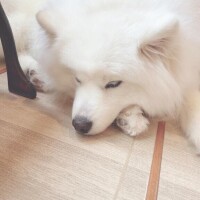 ?今日ごめんなさい??