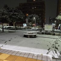 積もるとは聞いてない(  `?´ )??