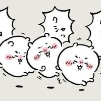 ?14時50分～1枠のみ