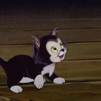 指名にしてくれるお兄様へ大事なお知らせ