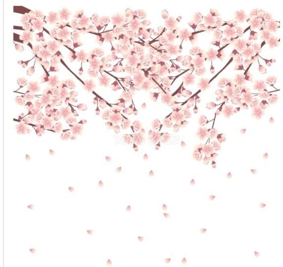 春分の日が過ぎて…