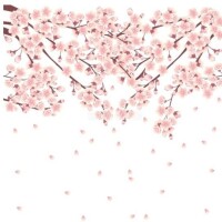 春分の日が過ぎて…