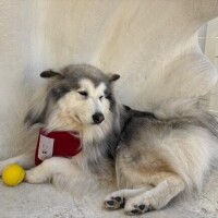 月末までお休みします??♀?