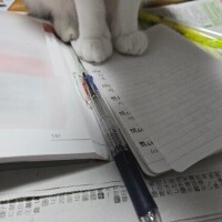 【雑談】おうちで勉強とかする???