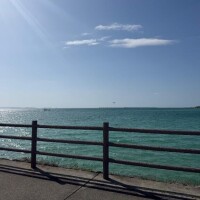 大事件です、助けてください