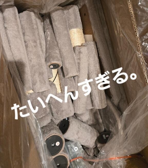 心折れたァ???