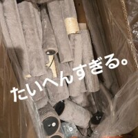 あいな