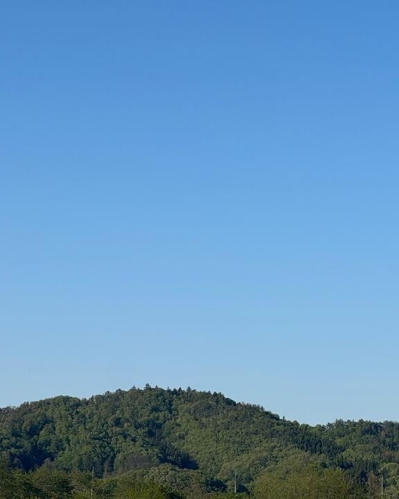 5月の出勤予定日?*\( * ?? ?* )