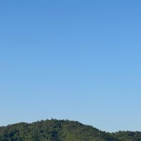 さえ