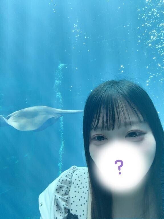 6月から復活??だけど、、