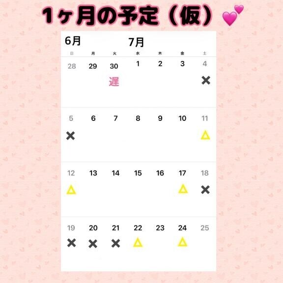 1ヶ月の予定（仮）?