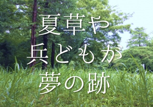 image1.jpeg