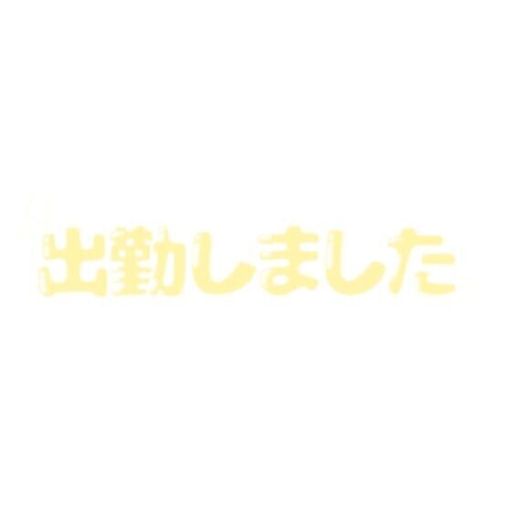 7/2(木)出勤しましたヽ(=´▽`=)ﾉ