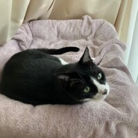 ゆな
