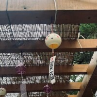 たまき
