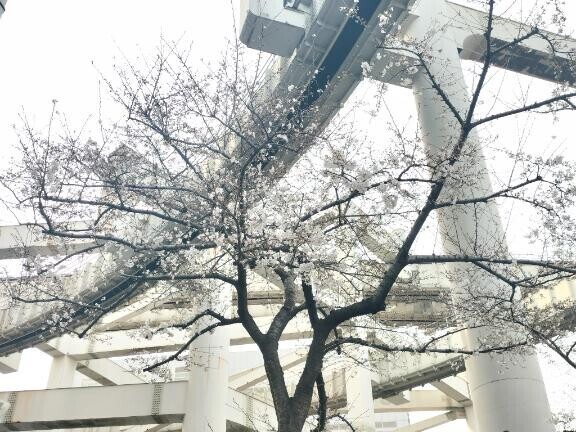 到着