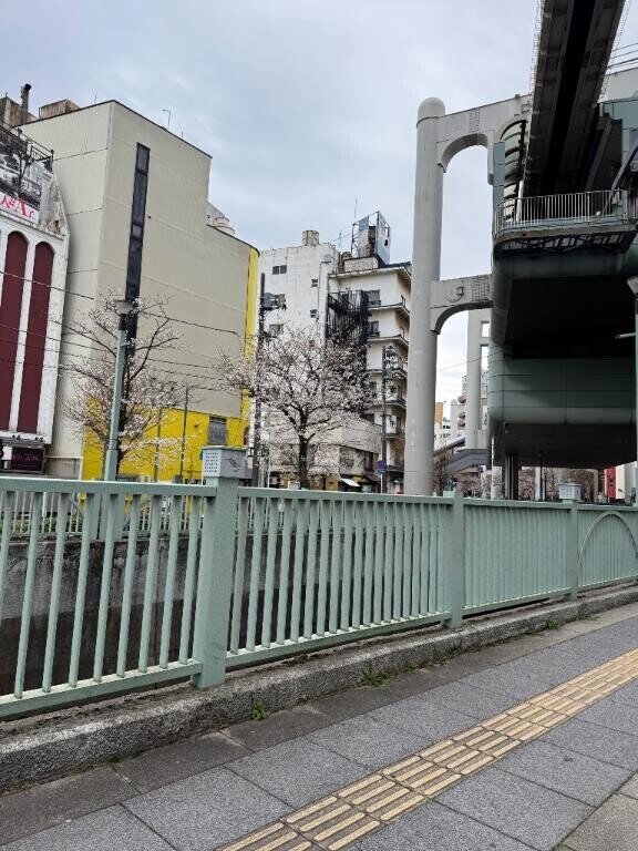 栄町の開花状況?