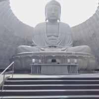 ひかる