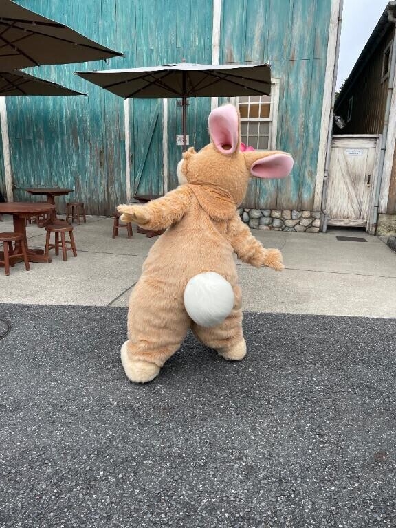5月2週目くらいまでの会える日