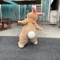 かんな