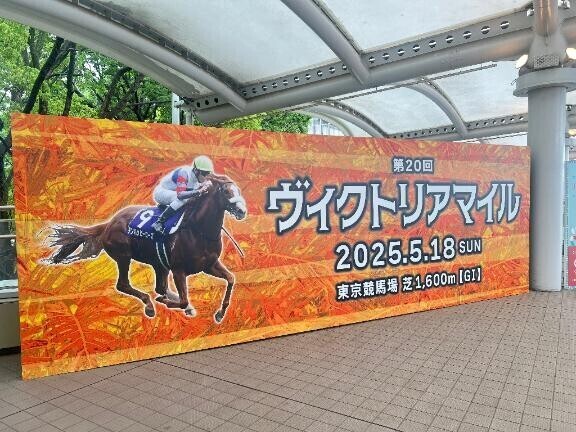 今日の馬券！