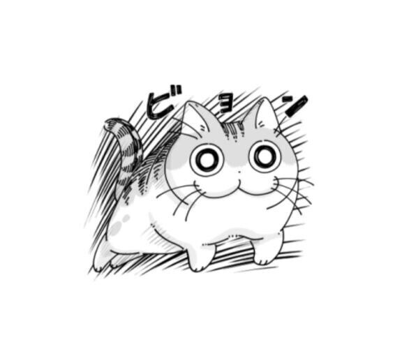 おはよう??
