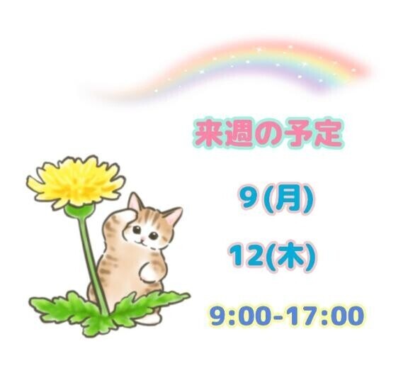 来週の予定
