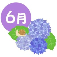 かんな