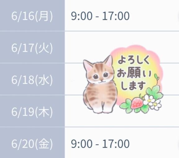 今週の予定