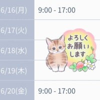 まひる