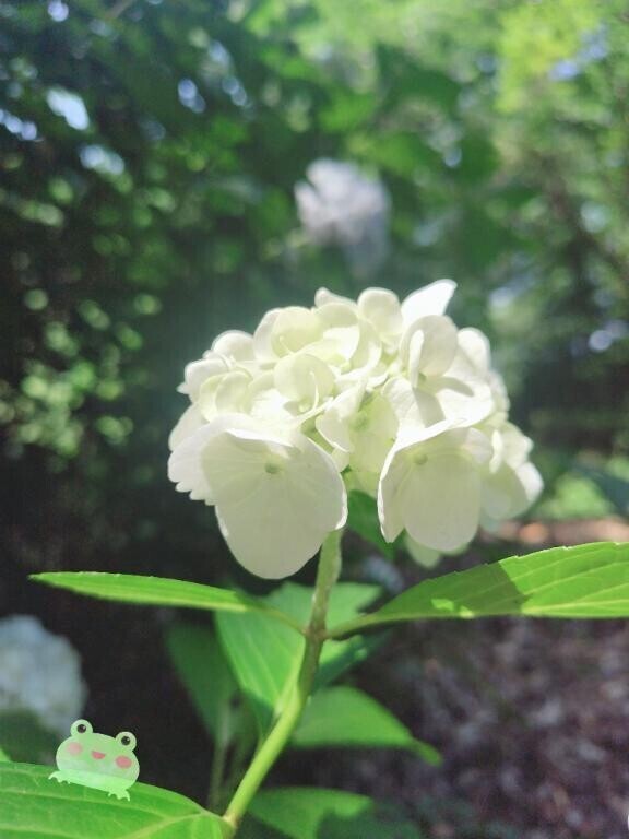 到着です( ´???`)