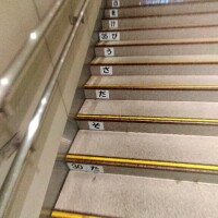 まひる