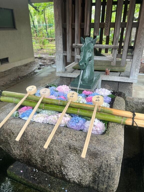 今日の馬券