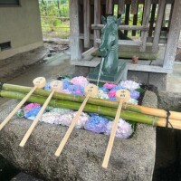 たまき
