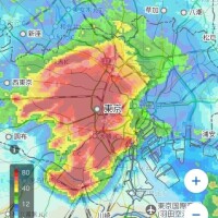 まひる
