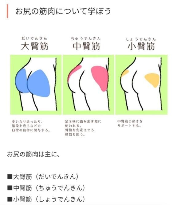 筋肉に精通してる人おりますか?