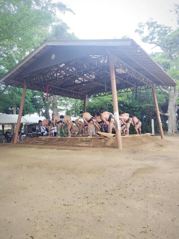 sumo?(?? ? ??)?