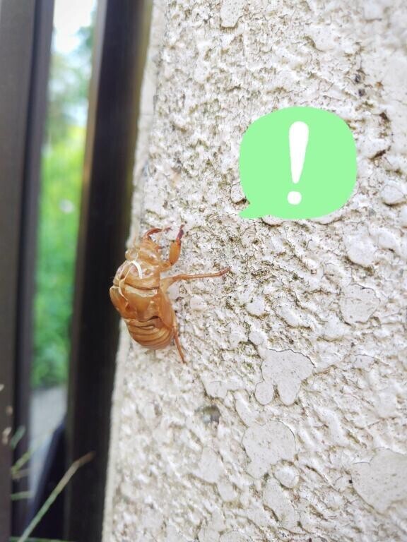 おおおおお～
