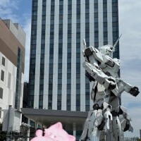 ひなた